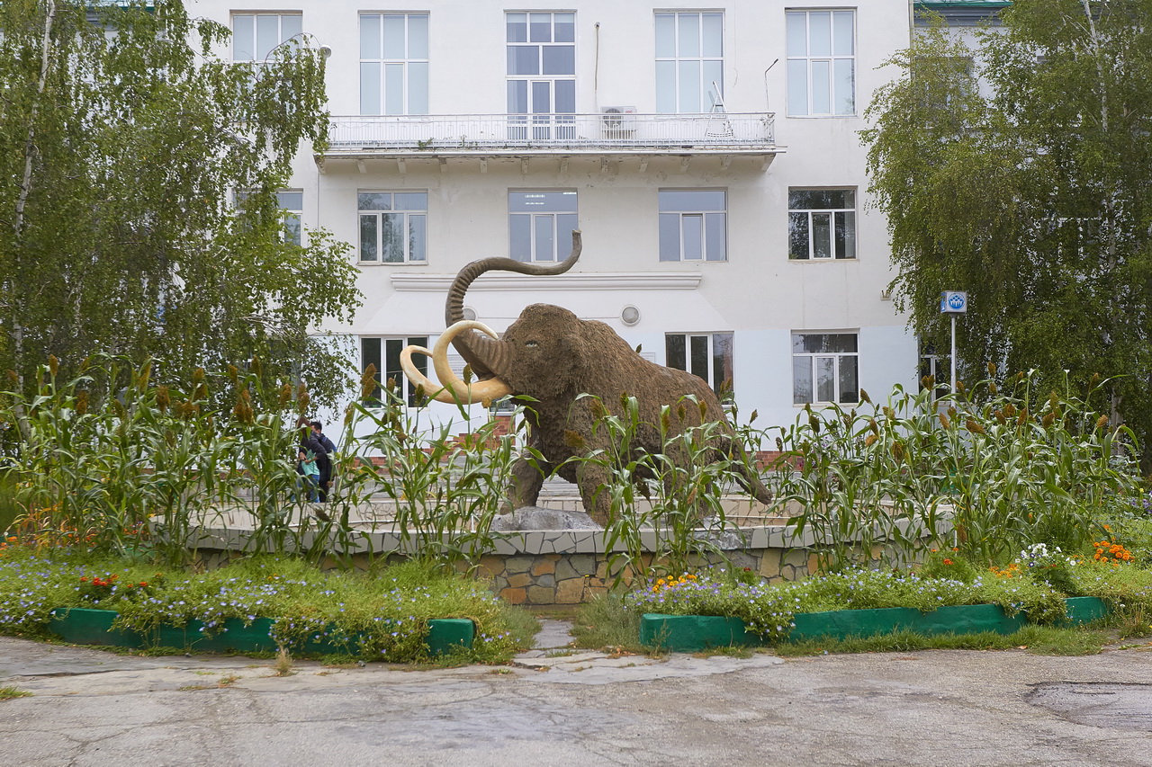 IMG_1065_новый размер