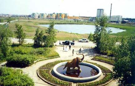 Мохнатый слон